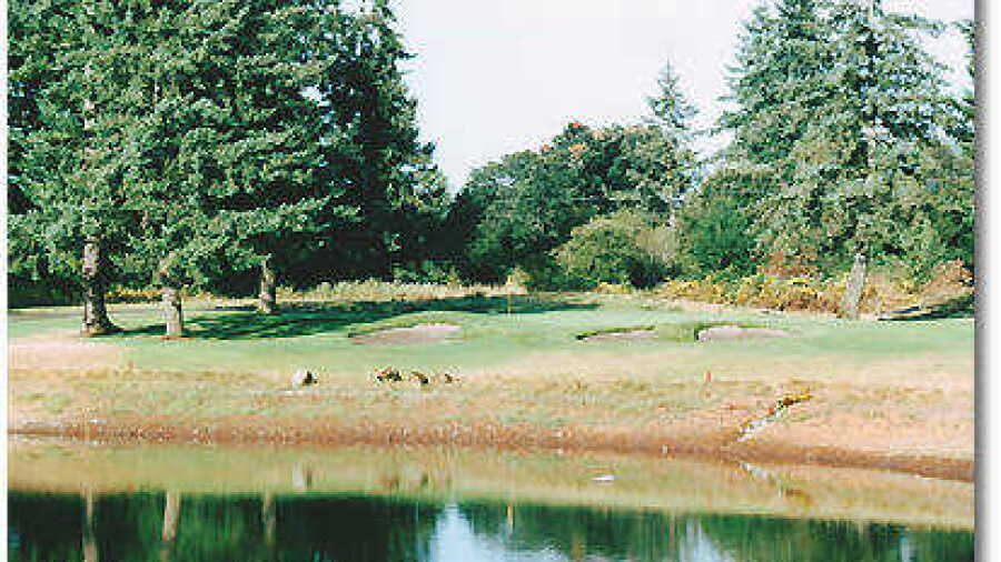 Stone Creek #6