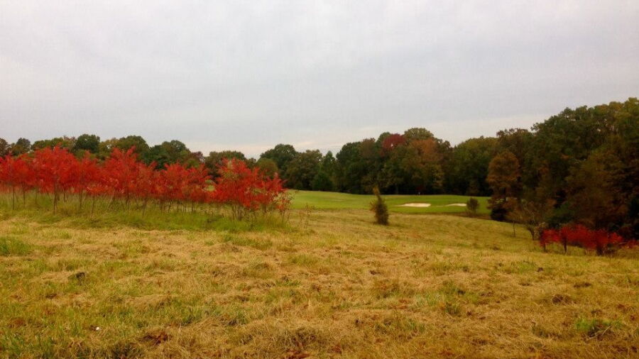 Spring Creek Ranch: #1
