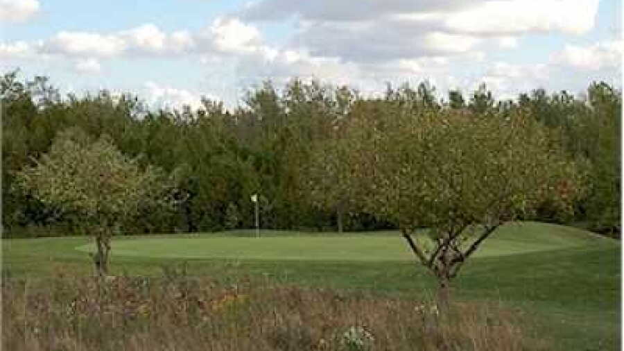 Iron and the Eagle G & CC: #5
