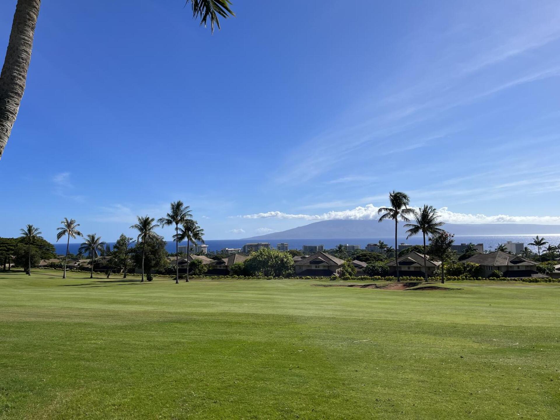 (Photo submitted by Cole9341965 on 08/09/2022)