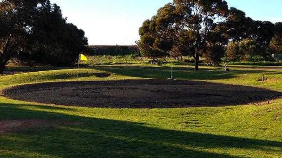 Wallaroo GC