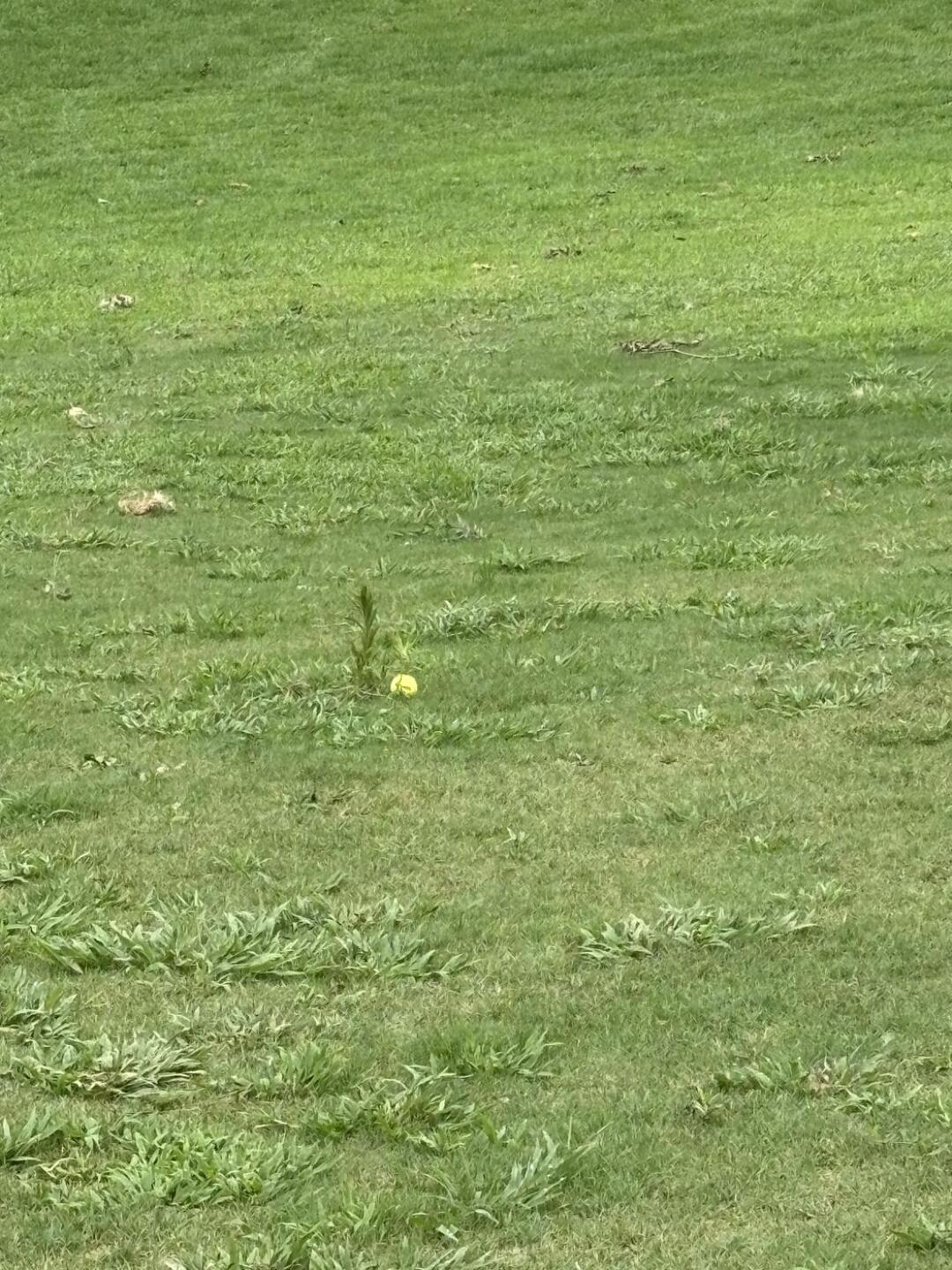 (Photo submitted by Drbaker1911 on 08/03/2026)
