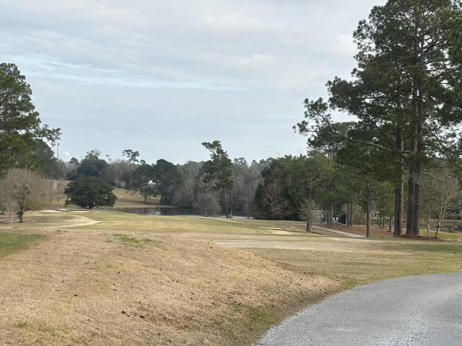 (Photo submitted by brainresearch22 on 01/24/2026)