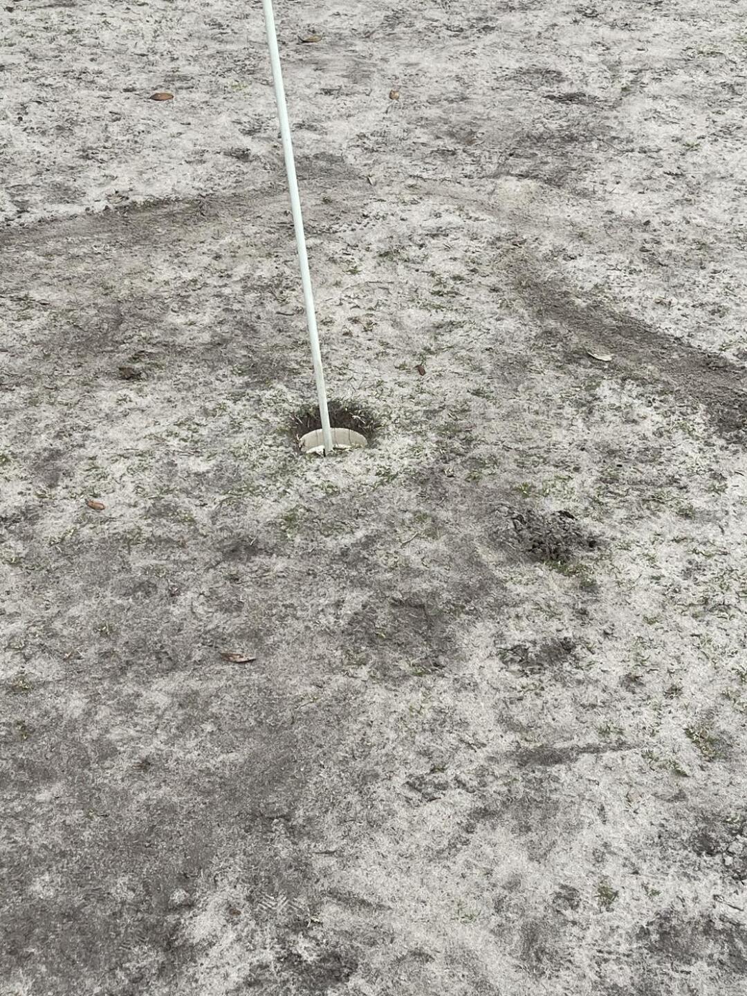 One of the “greens” (Photo submitted by u159211116 on 02/10/2021)