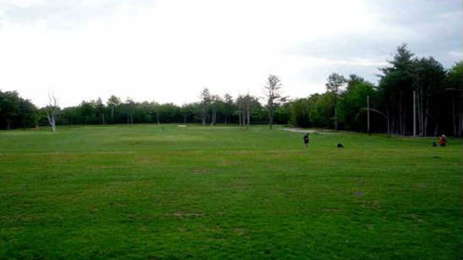 Cedar Links GC