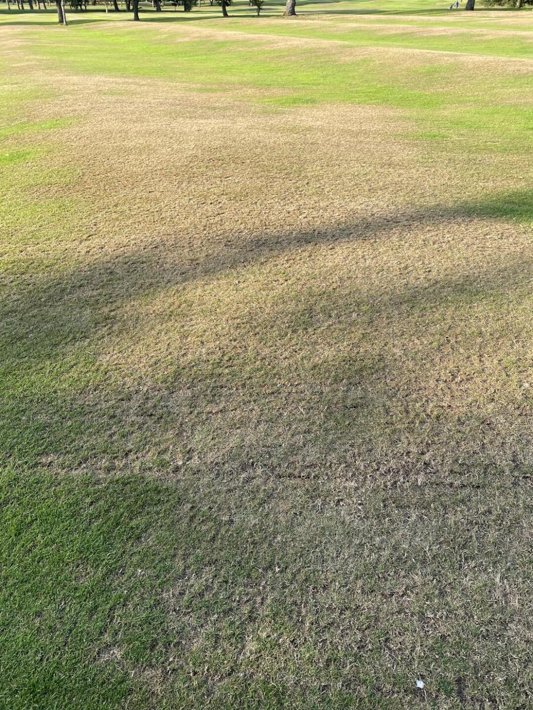 (Photo submitted by t2080300274 on 09/06/2021)