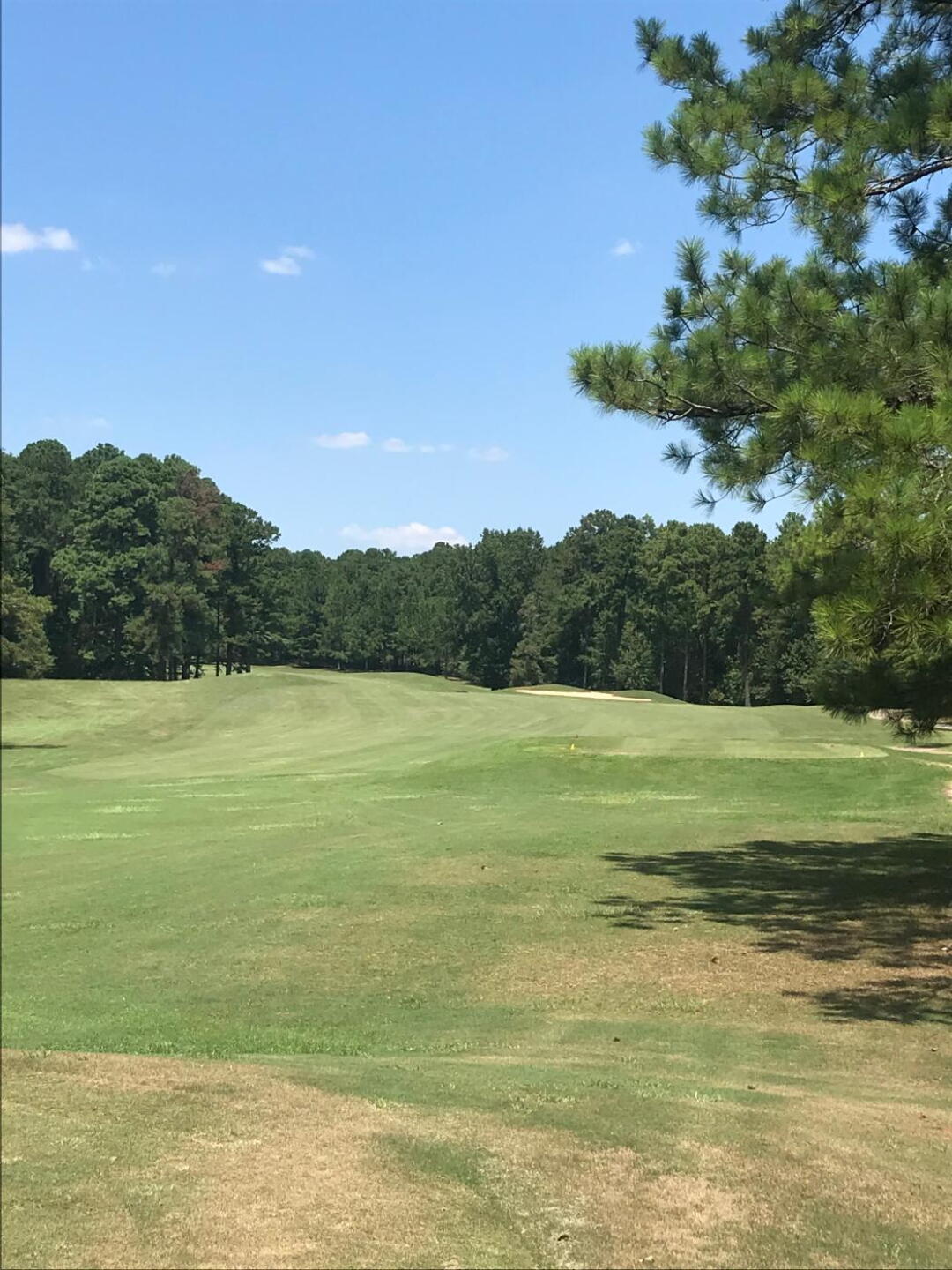 (Photo submitted by Brett9369058 on 08/18/2019)