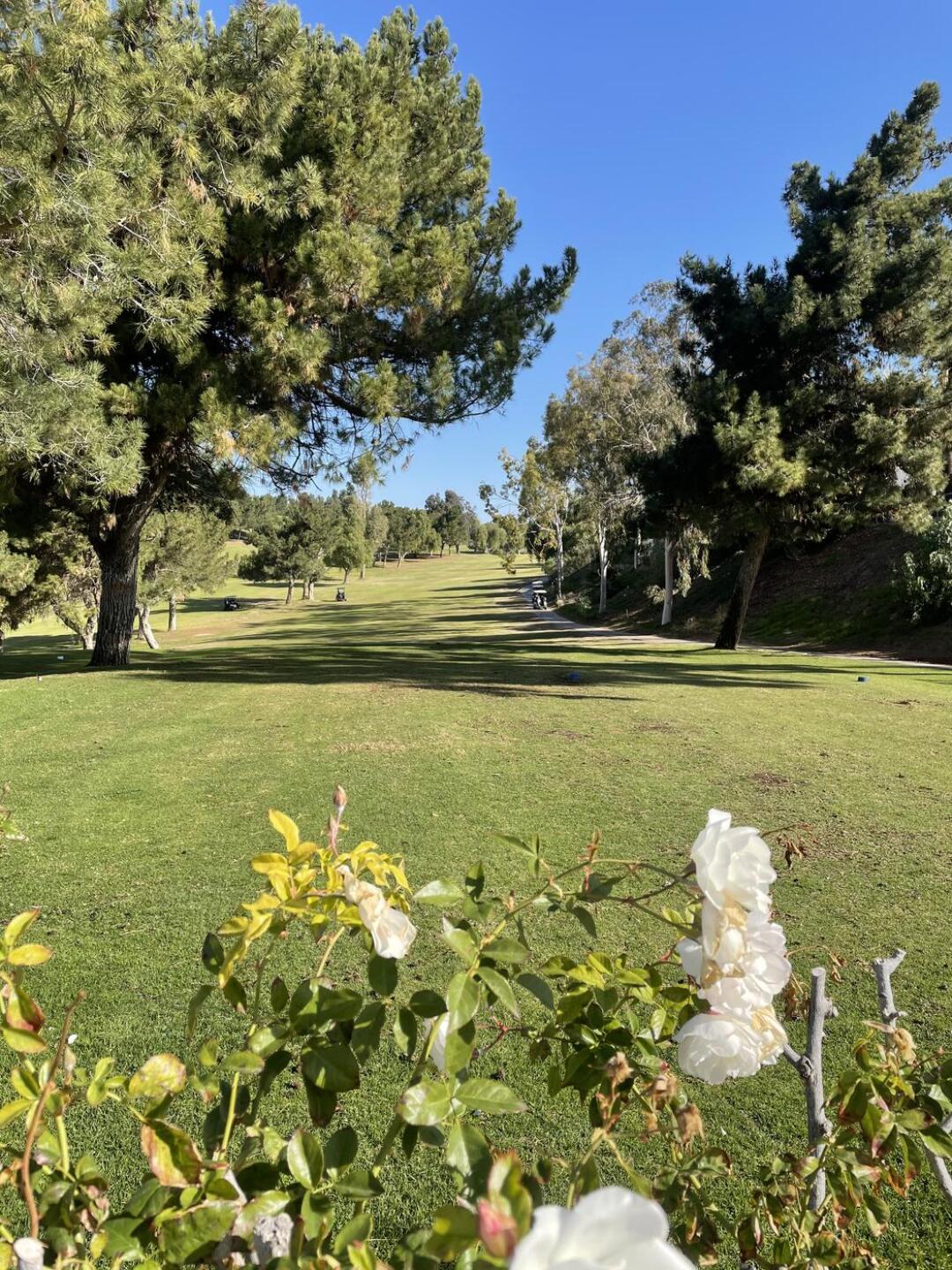 (Photo submitted by xoxomutt on 02/17/2021)