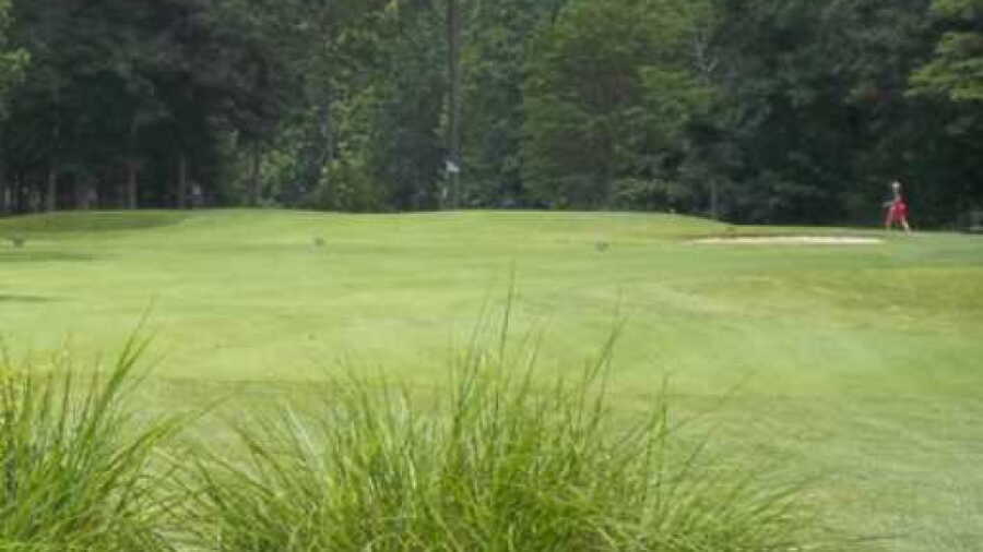 Pines At Clermont