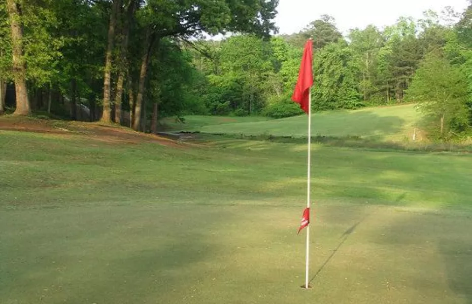 Birmingham Forest GC: #7