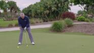 Putting in the Wind