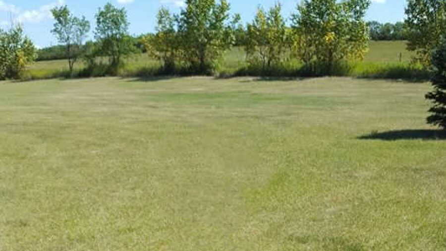 Bengough Regional GC