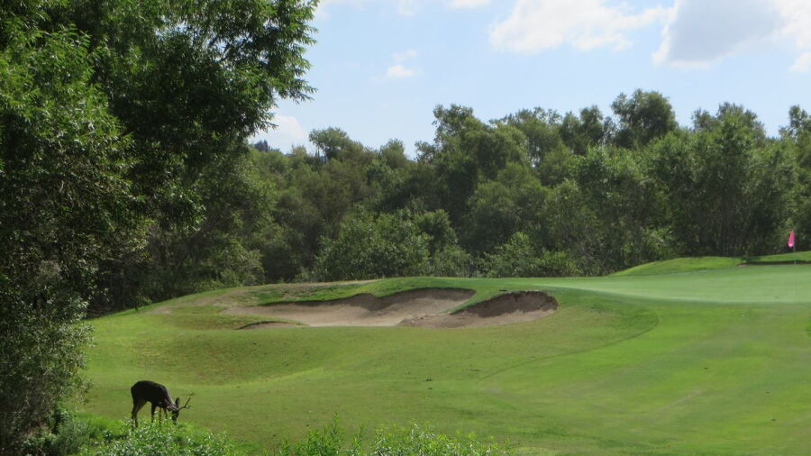 Strawberry Farms GC