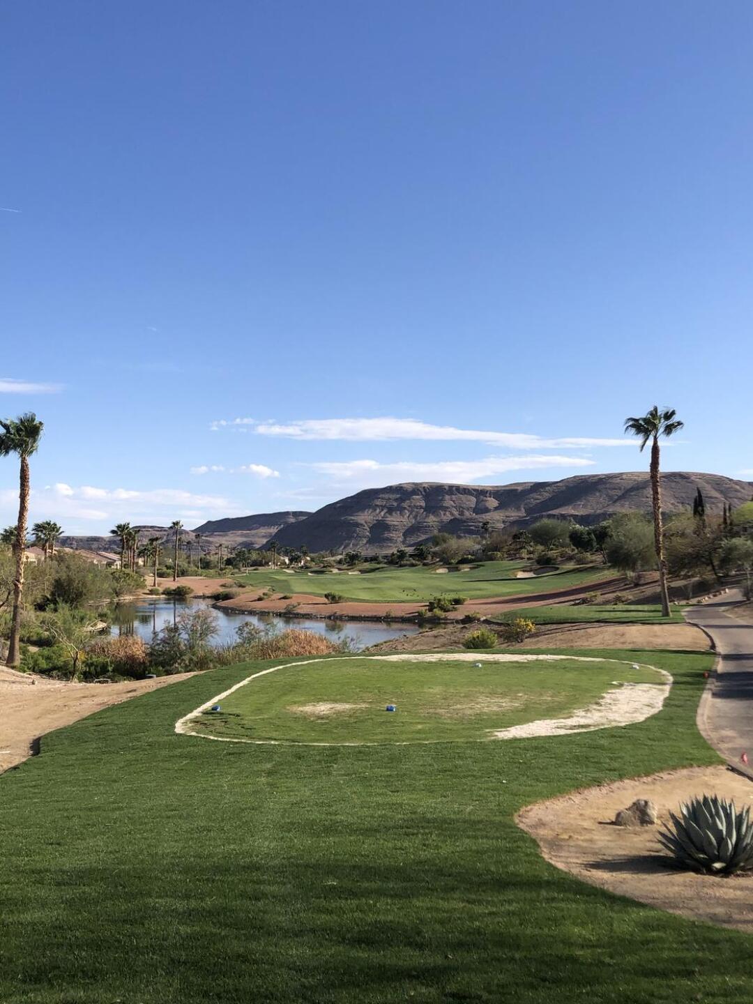Beautiful day to STStix (Photo submitted by jett2ivyy on 04/07/2021)