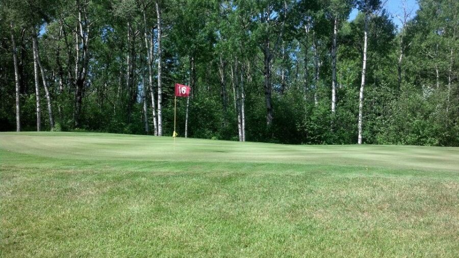 Stoney Links: #16
