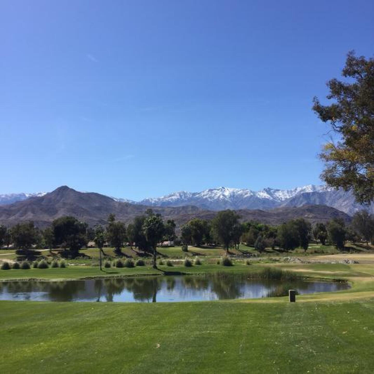 (Photo submitted by Kevin7409220 on 03/07/2015)