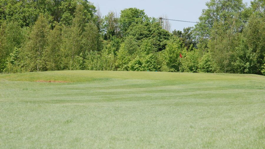 Rivenhall Oaks GC - Acorns: #3