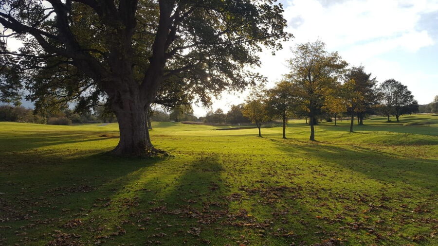 Haddington GC