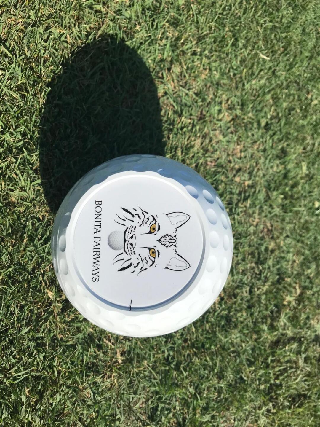 New logo on Tee Markers (Photo submitted by u433824037 on 05/08/2020)