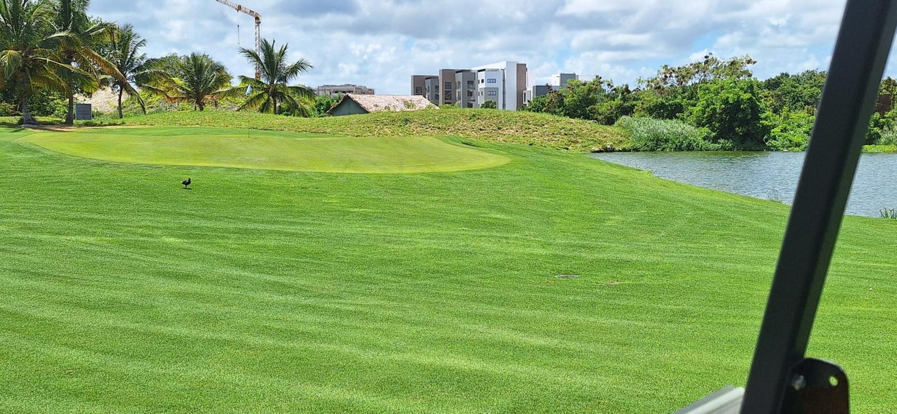 (Photo submitted by MiniWelsh on 04/07/2026)