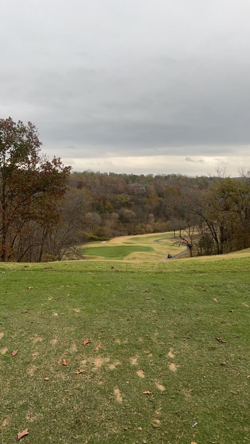 (Photo submitted by u314160379979 on 11/02/2024)