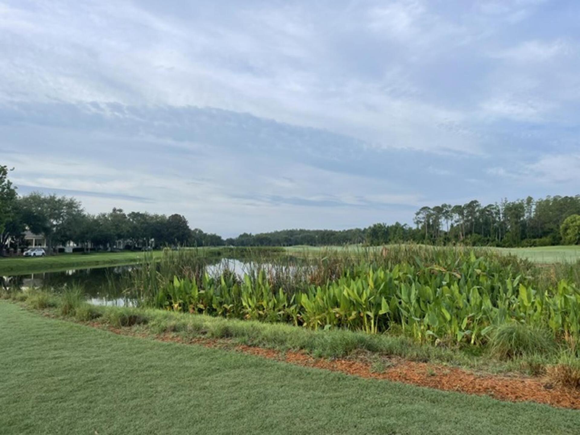 (Photo submitted by kevindumandan on 06/26/2023)