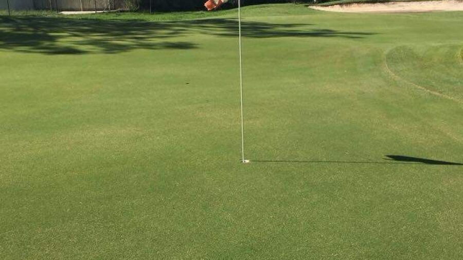 Green at Gladstone GC