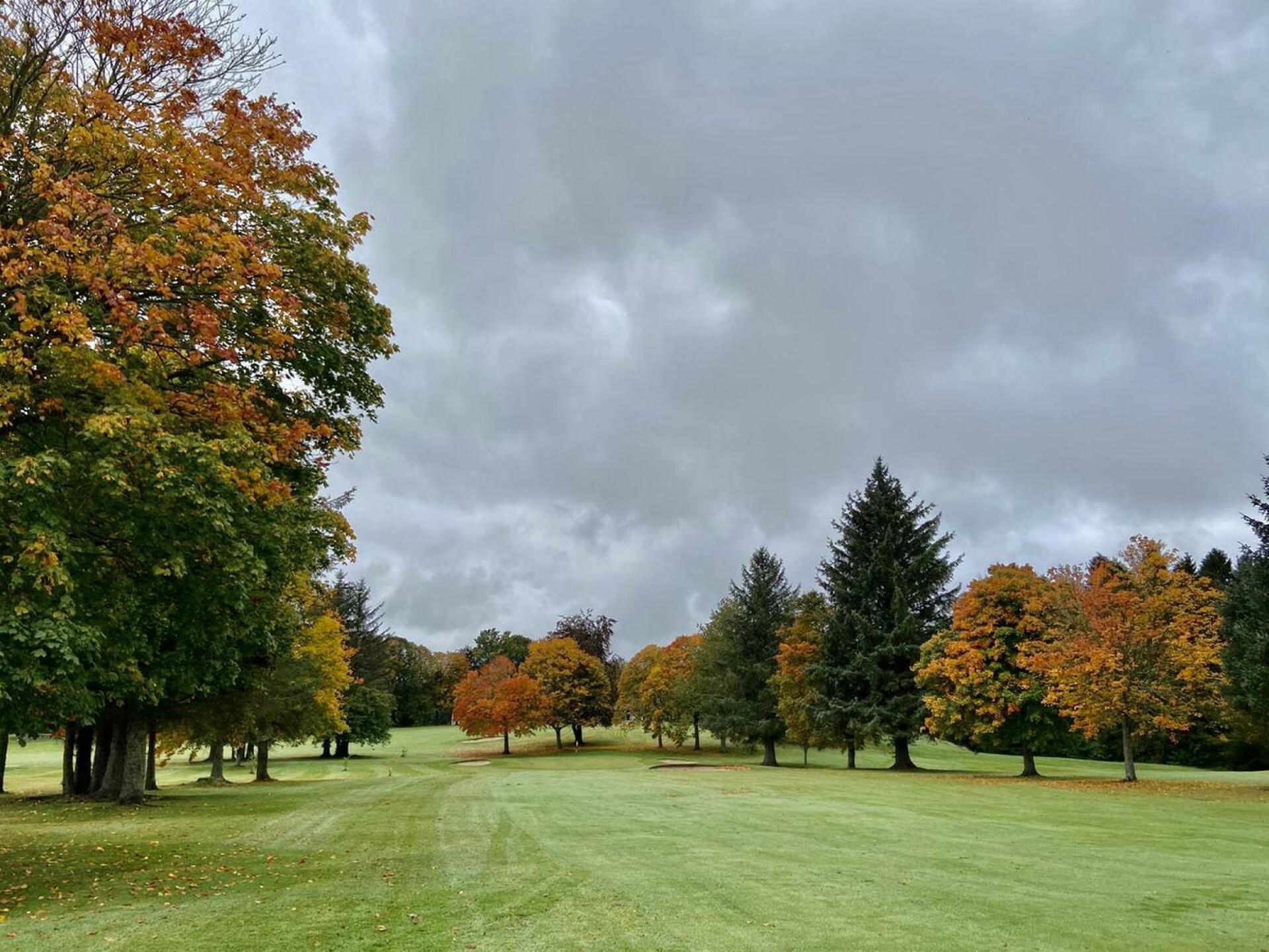 (Photo submitted by t1149544345 on 10/16/2020)