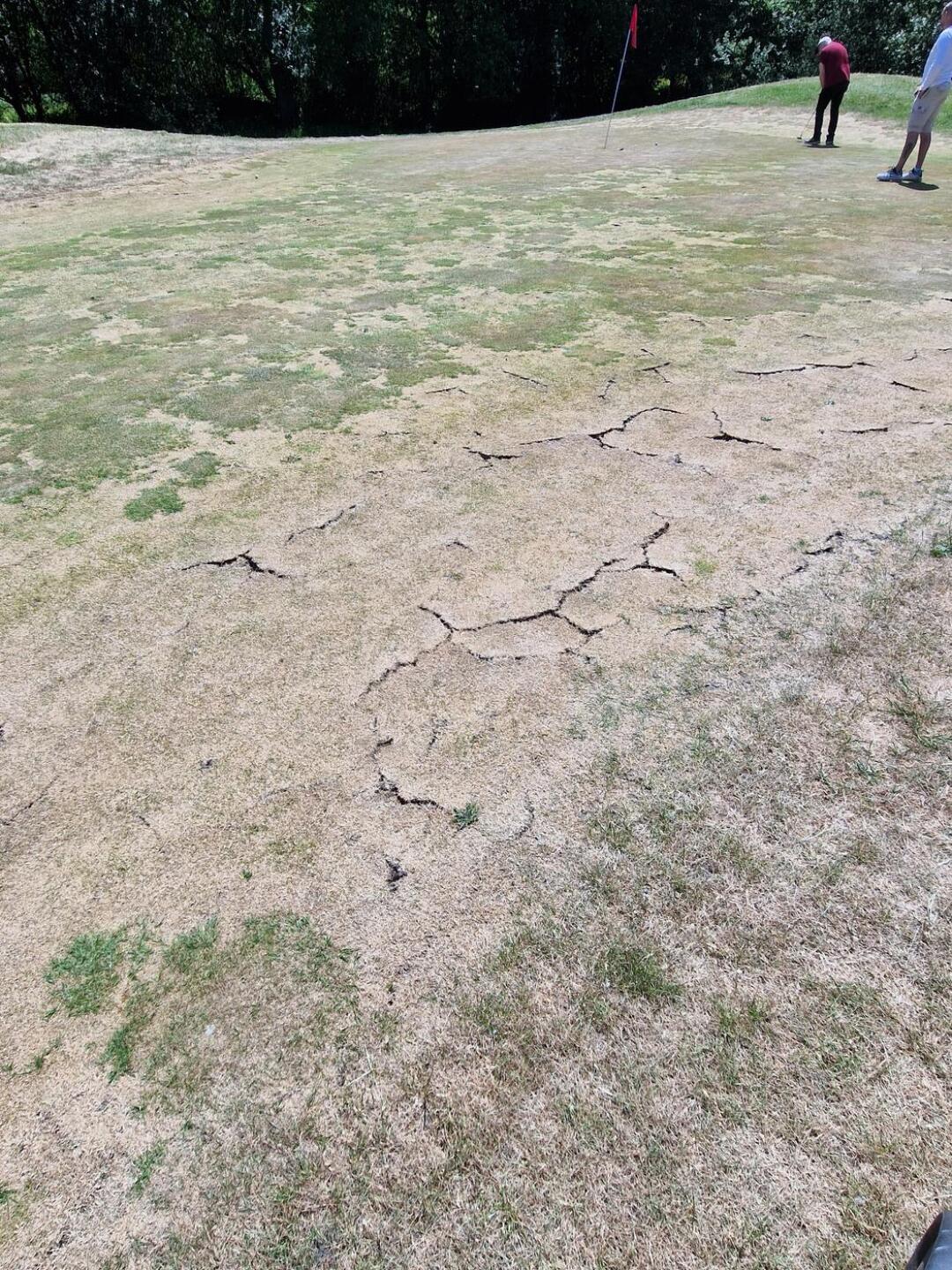 (Photo submitted by u314161985473 on 06/04/2023)