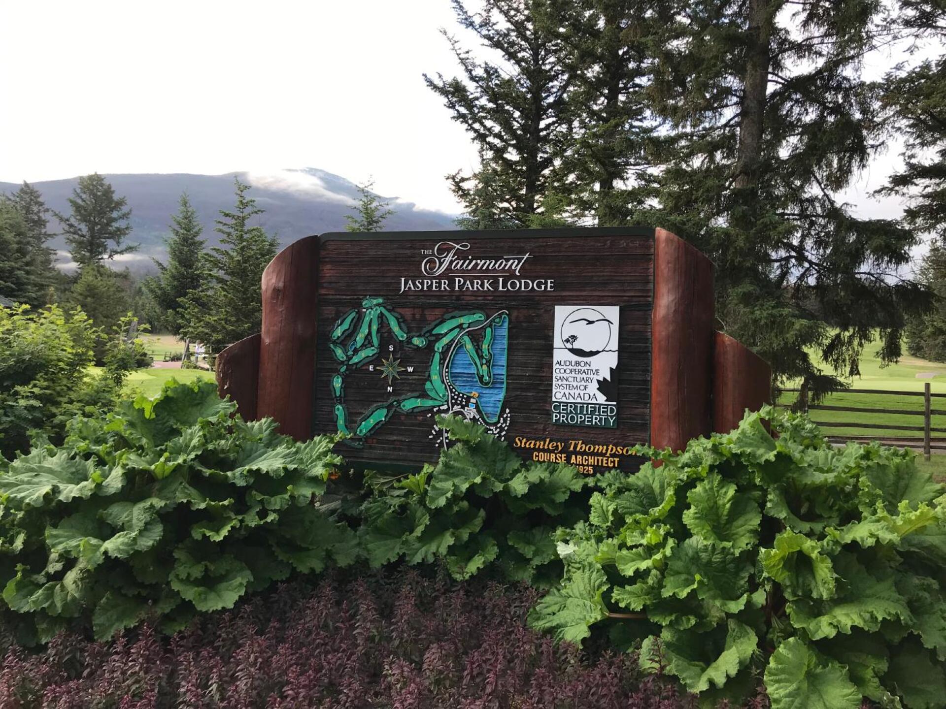 (Photo submitted by JasonDeeganGA on 07/26/2019)