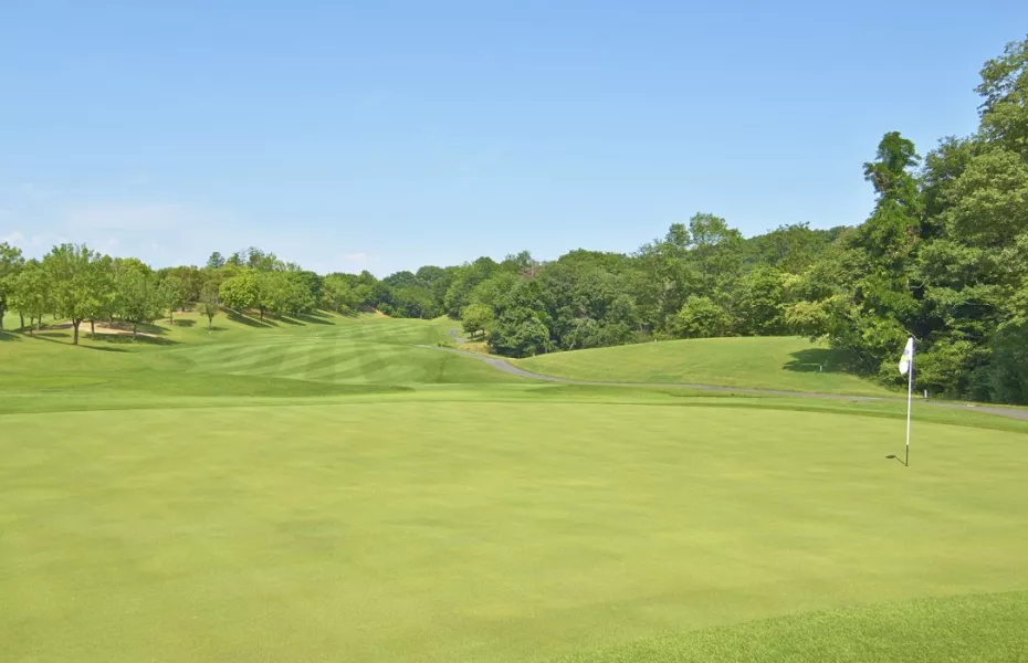 Omurasaki GC - East: #3