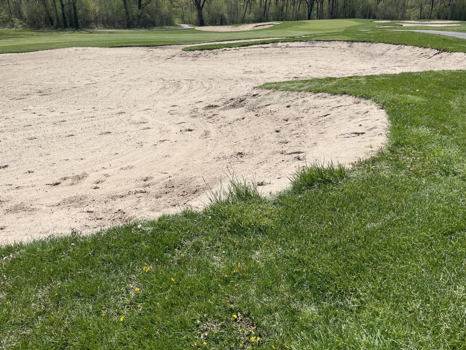 (Photo submitted by u2226730 on 05/05/2023)