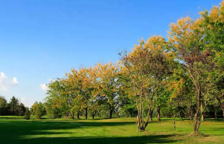 The Torrazzo Golf Club in Cremona, Lombardy, Italy | GolfPass