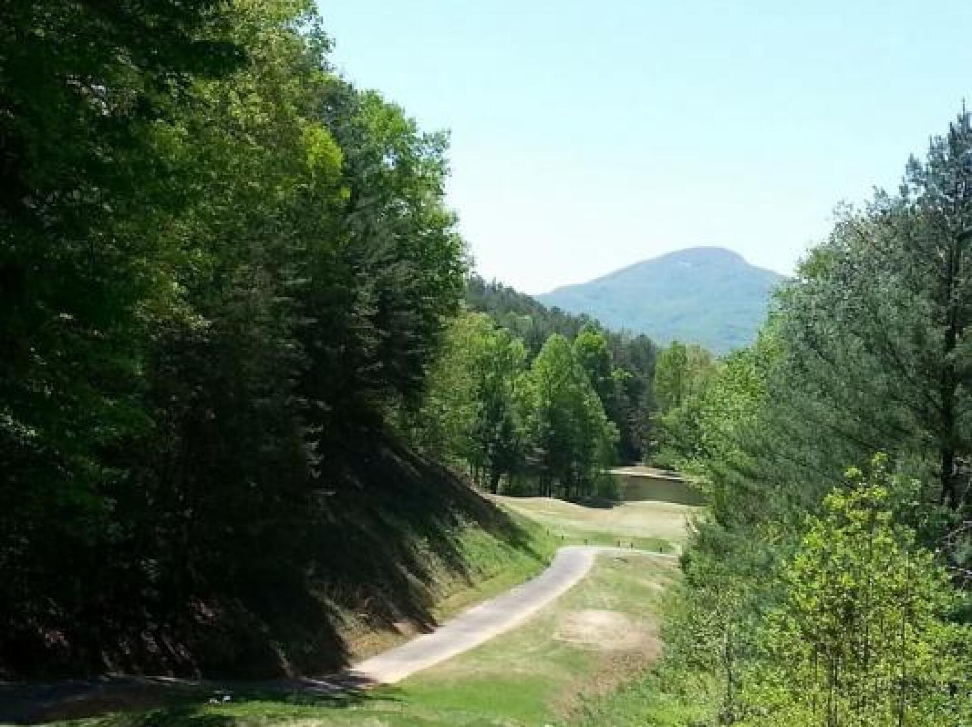 #9 tee box (Photo submitted by Rock4287097 on 05/04/2014)