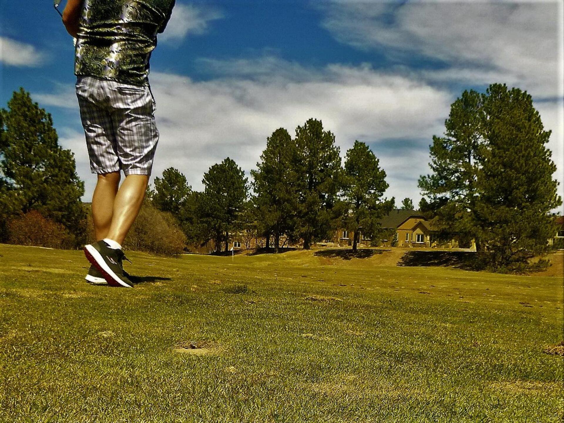 (Photo submitted by DiamondAces on 04/10/2023)