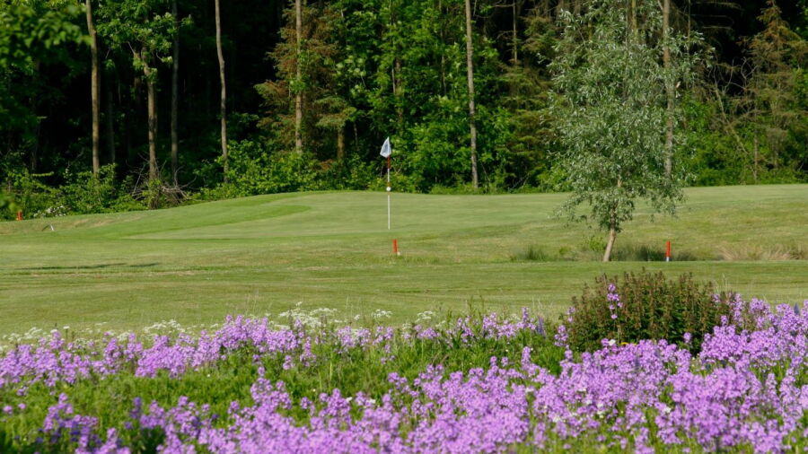 Muenster-Tinnen GC