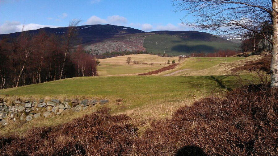 Braemar GC: #4