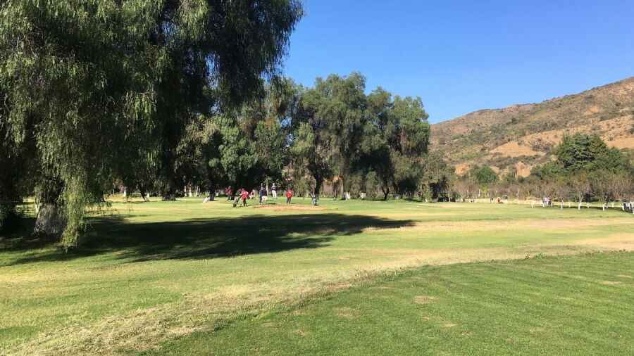 Sucre GC