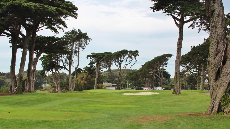 TPC Harding Park golf course - hole 17