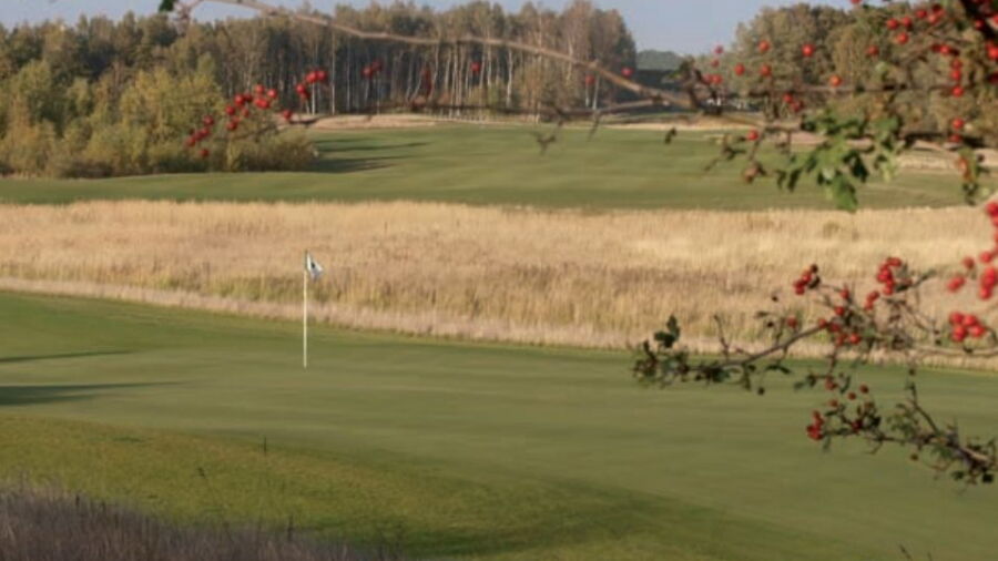 Royal GC: #3