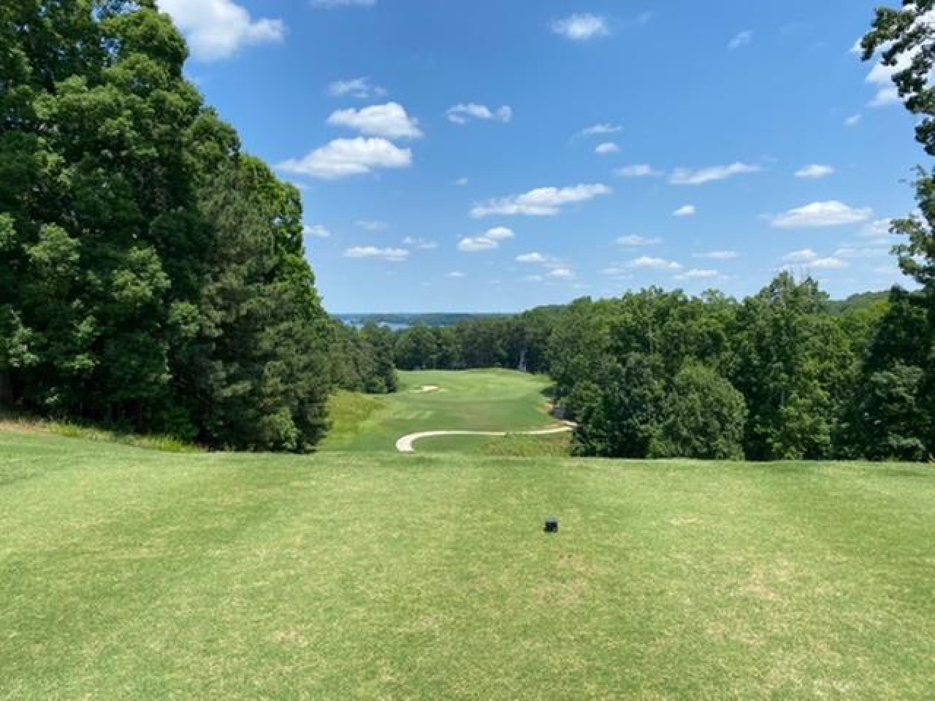 (Photo submitted by FrankZ58 on 06/01/2020)