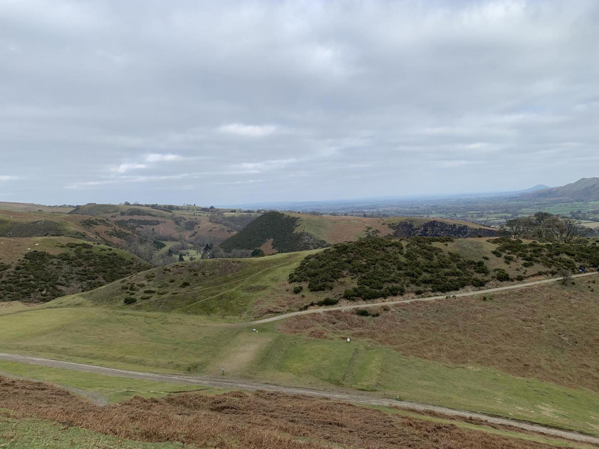 (Photo submitted by MattShort72 on 02/12/2023)