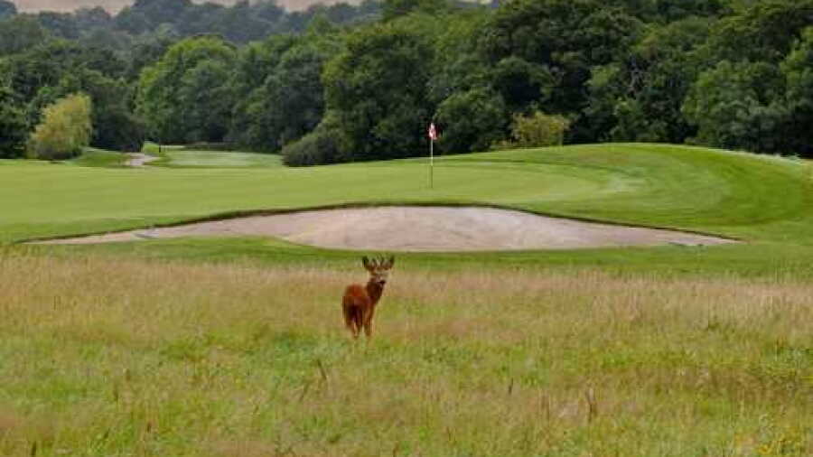 Woodbury Park HGC