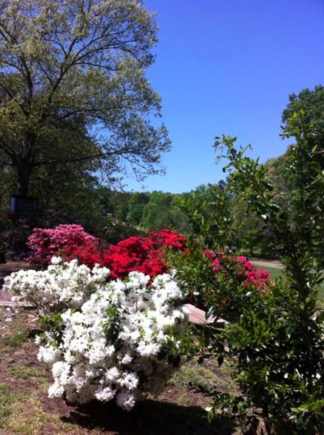 (Photo submitted by LeeviewG on 04/21/2013)