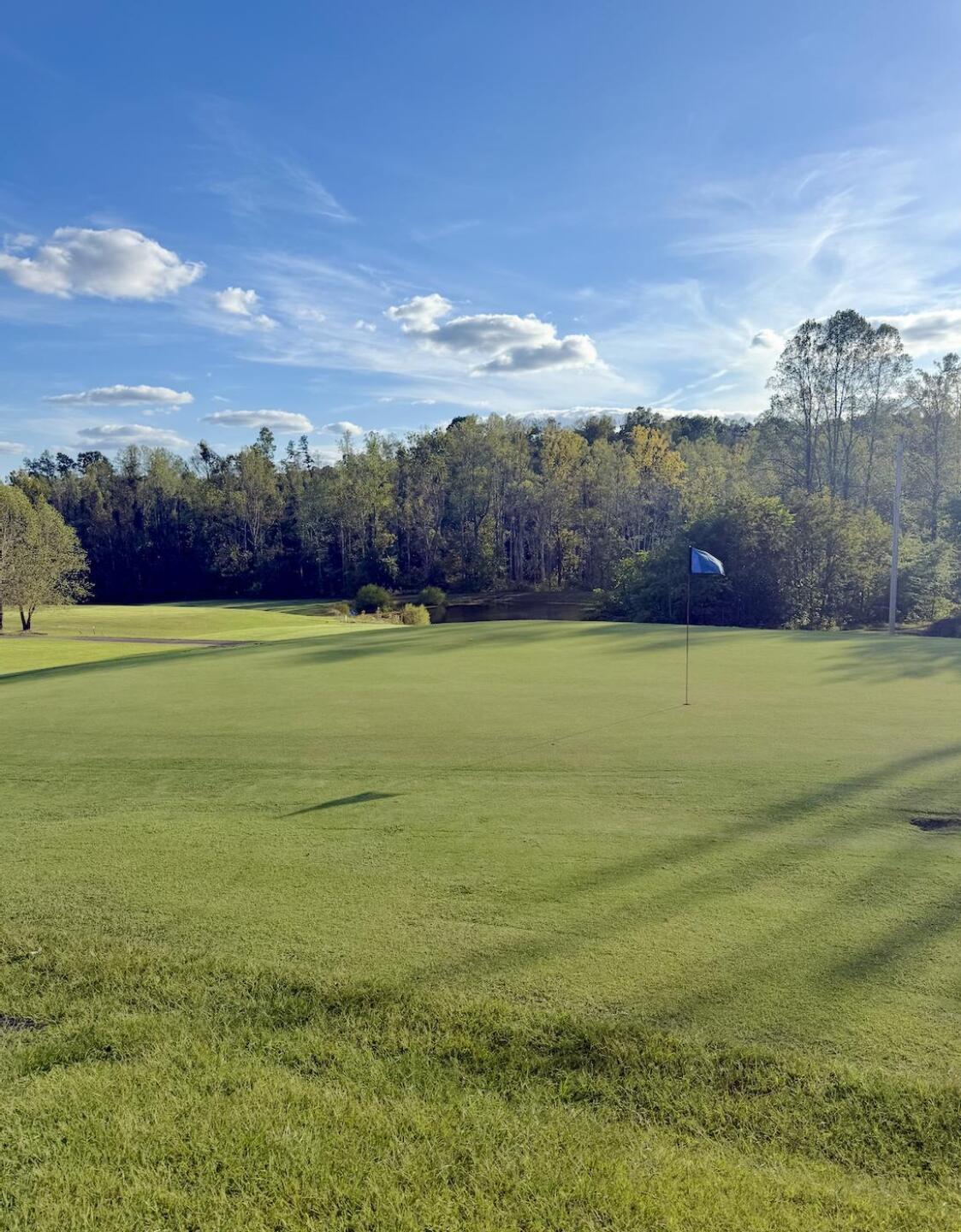 (Photo submitted by eDhjwCpdAz2HaY97ql98 on 10/02/2025)