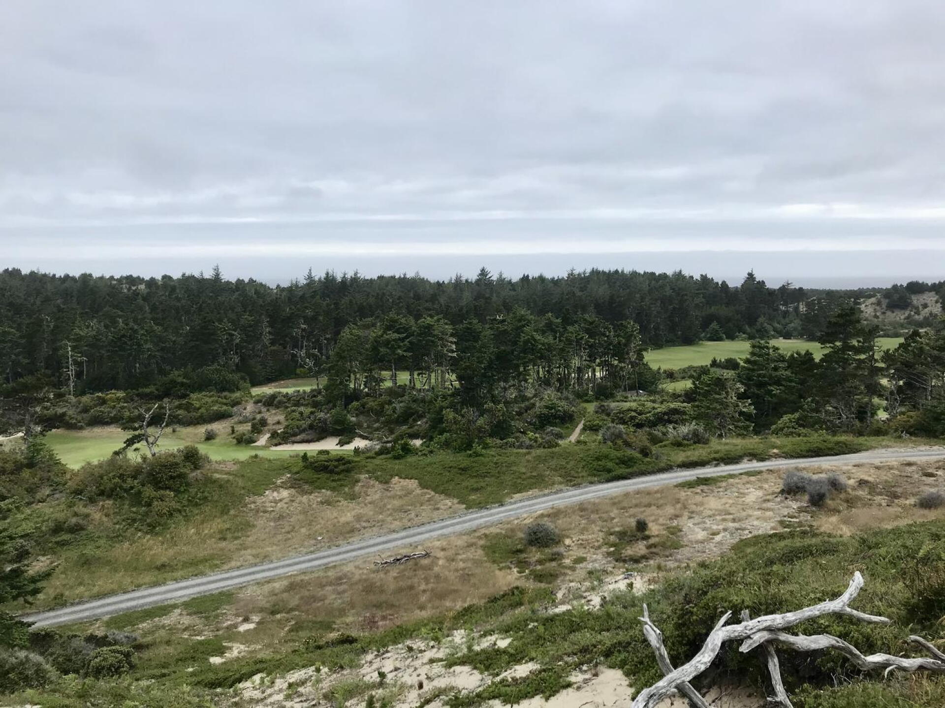 Great view from 14 (Photo submitted by QuantumGolfx on 10/27/2021)