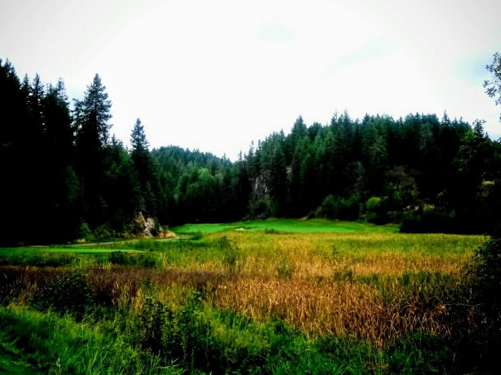 (Photo submitted by hacksalot03 on 09/17/2019)