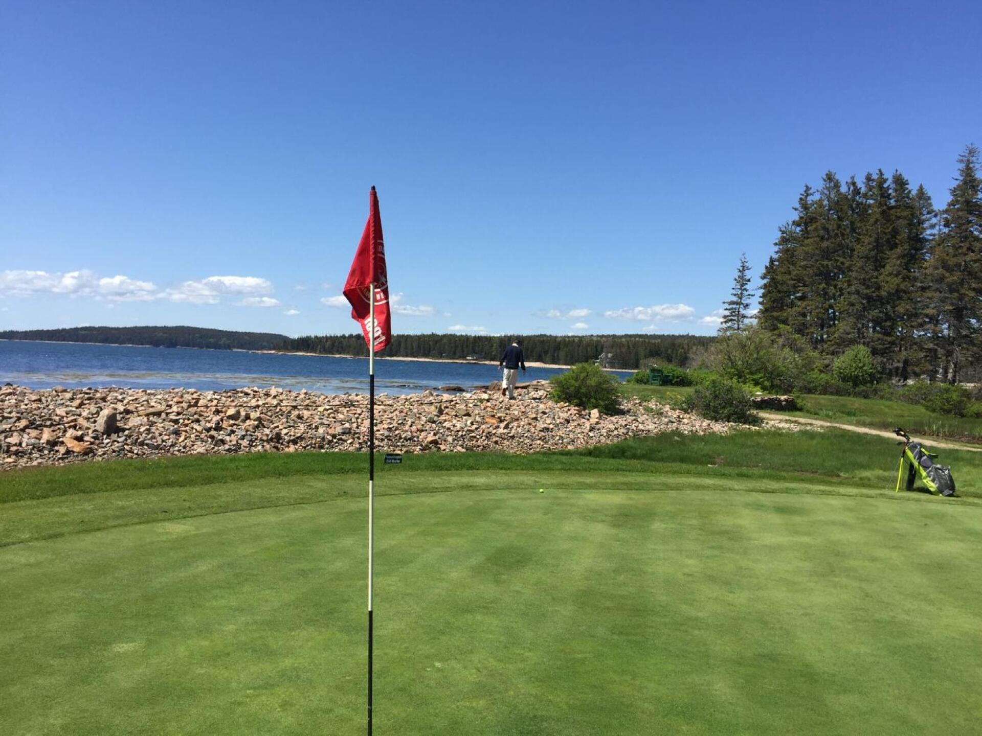 (Photo submitted by null on 06/14/2019)