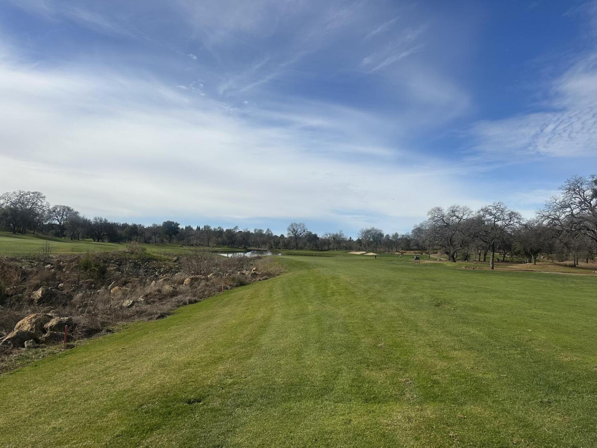 (Photo submitted by mrzzchef55 on 01/27/2026)