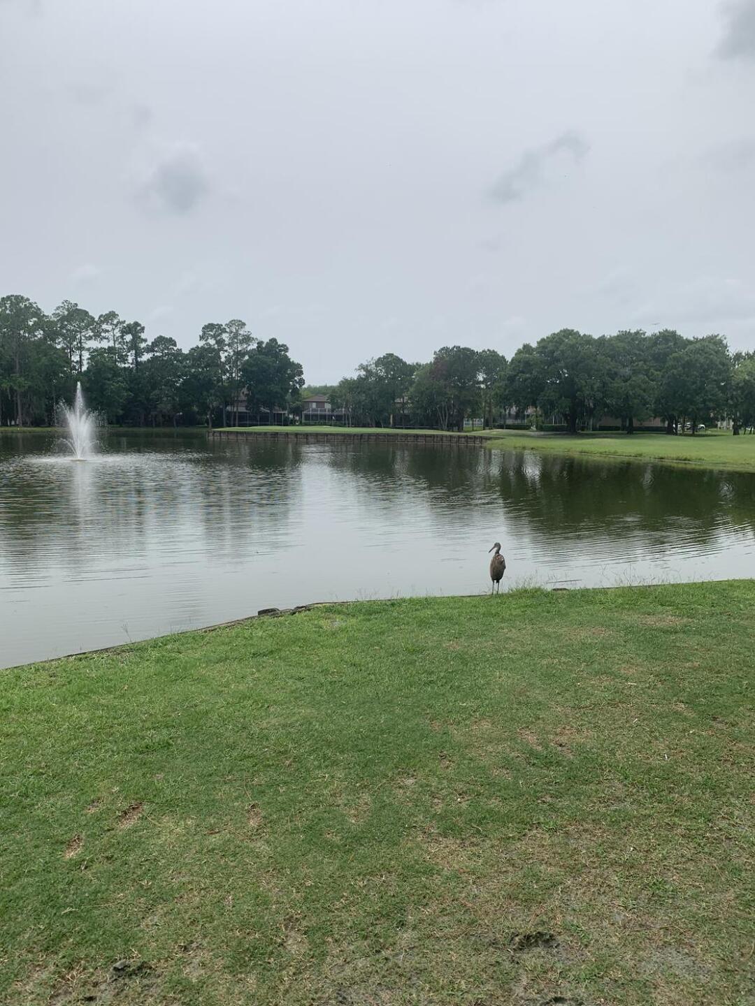 (Photo submitted by Ihatemyjob1 on 05/22/2022)